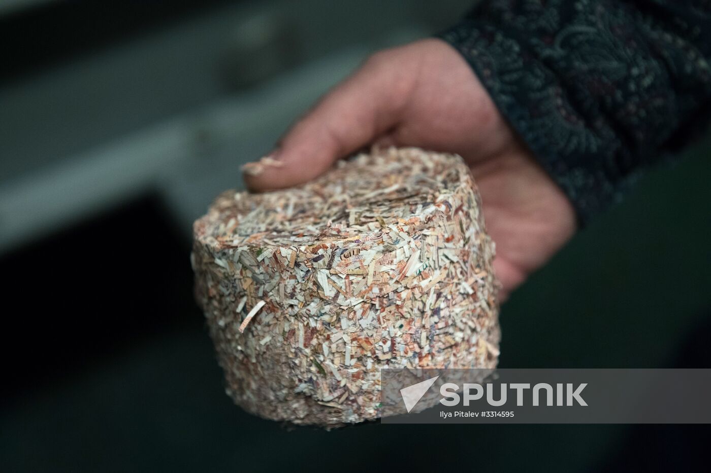 Destruction of old notes in Bank of Russia