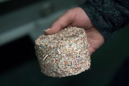 Destruction of old notes in Bank of Russia