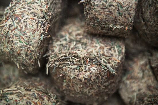 Destruction of old notes in Bank of Russia