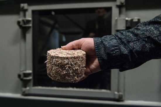 Destruction of old notes in Bank of Russia