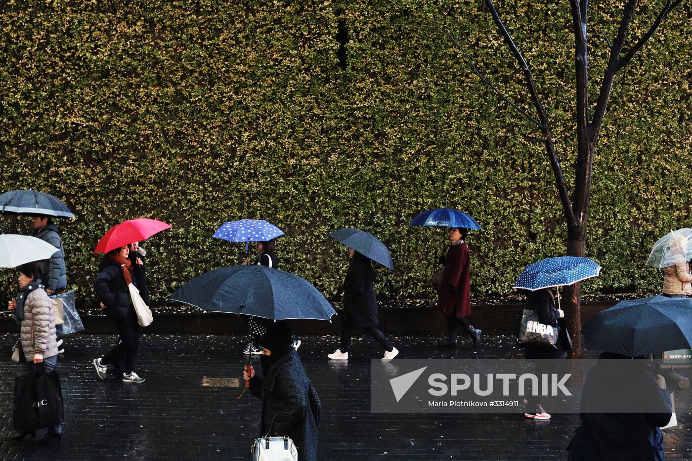 Cities of the world. Seoul