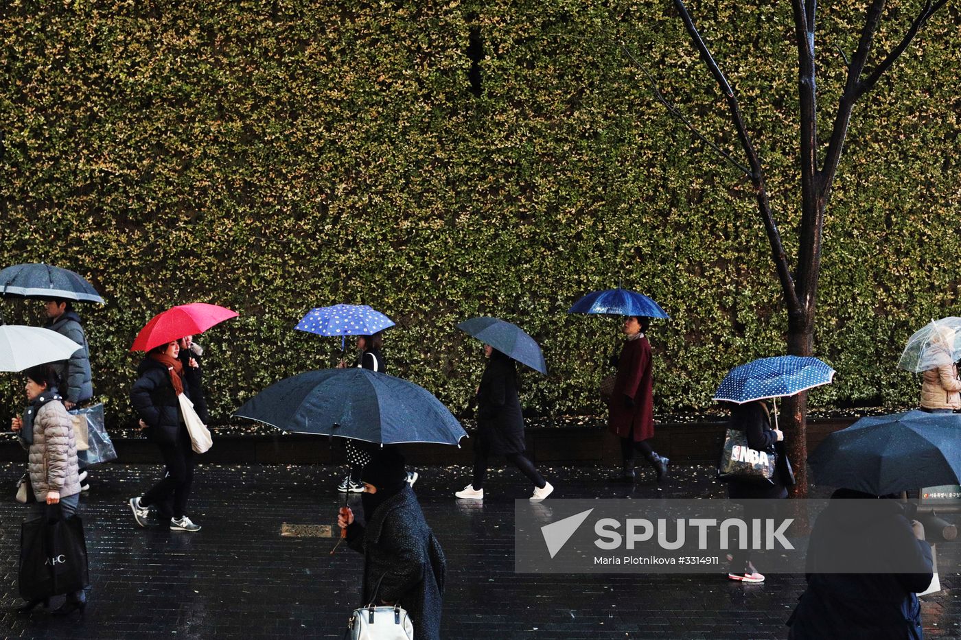 Cities of the world. Seoul