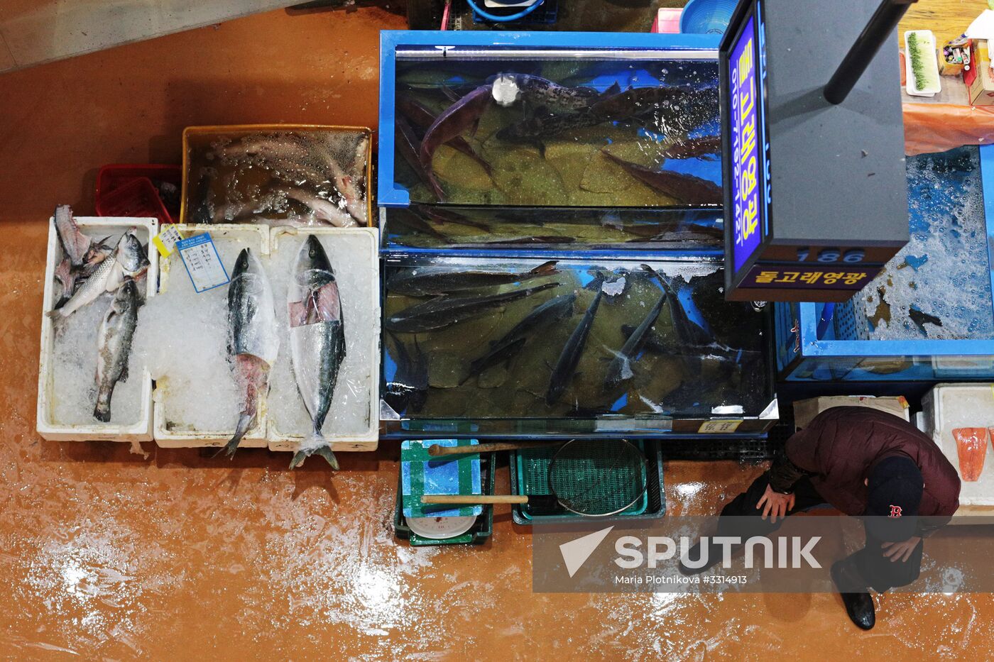 Cities of the world. Seoul