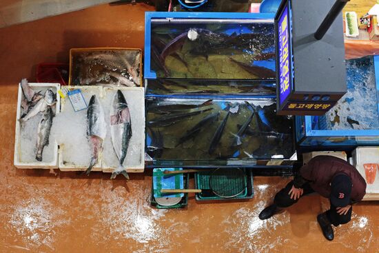 Cities of the world. Seoul