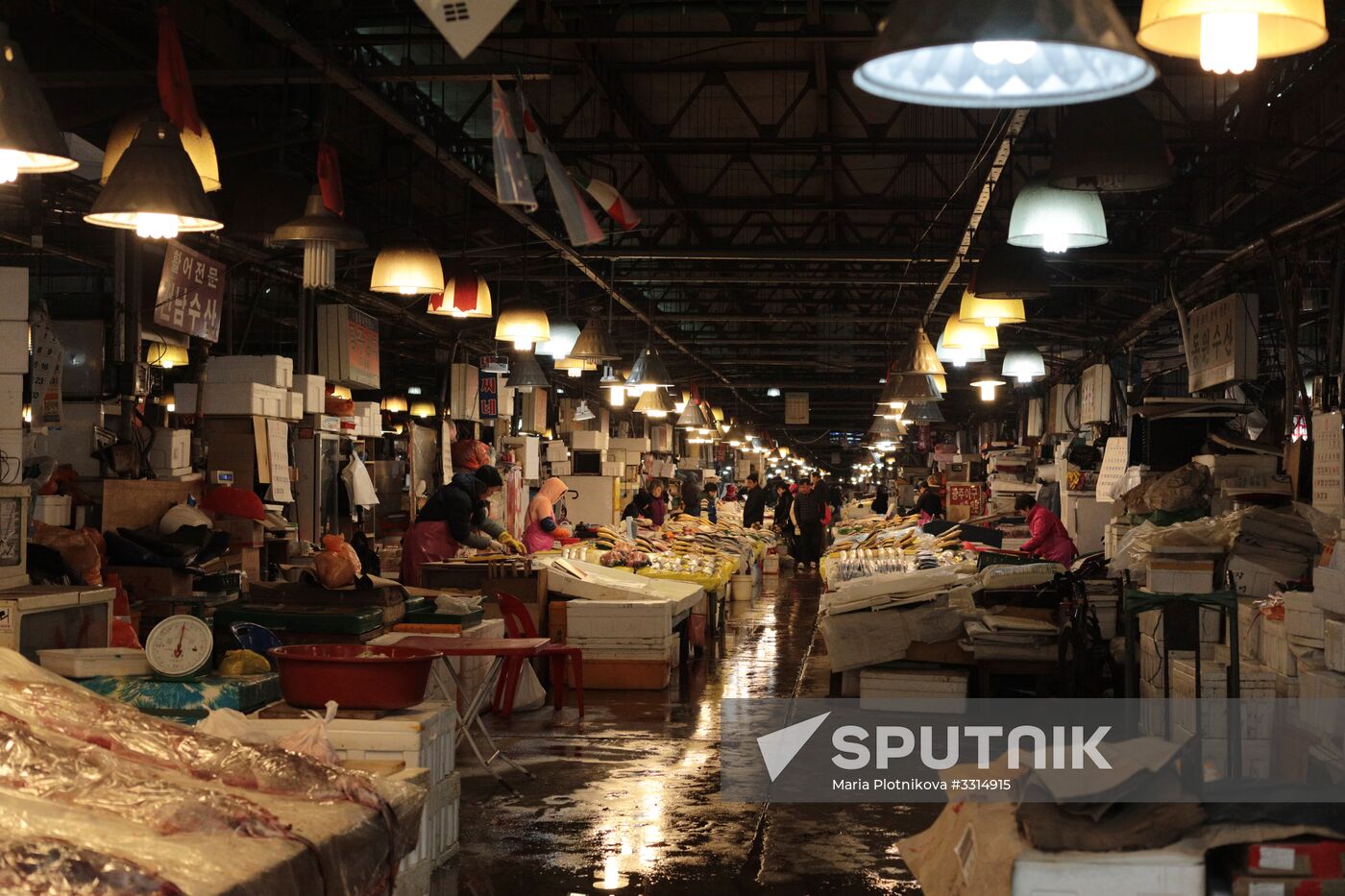 Cities of the world. Seoul