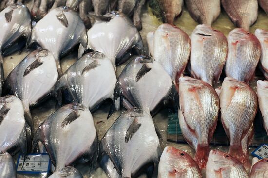 Cities of the world. Seoul