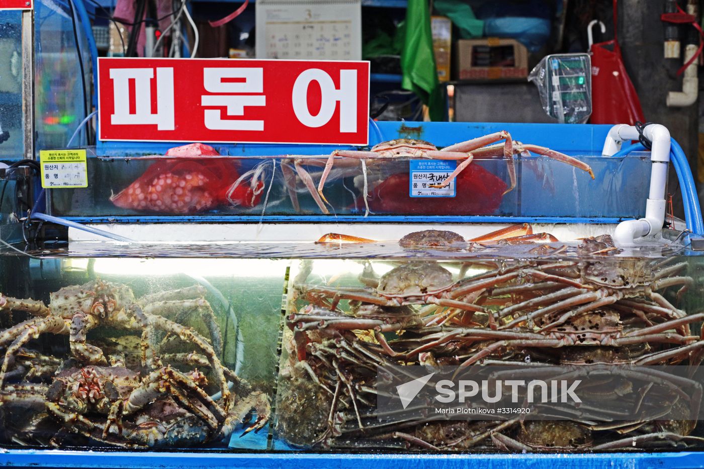 Cities of the world. Seoul