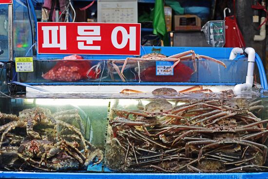 Cities of the world. Seoul