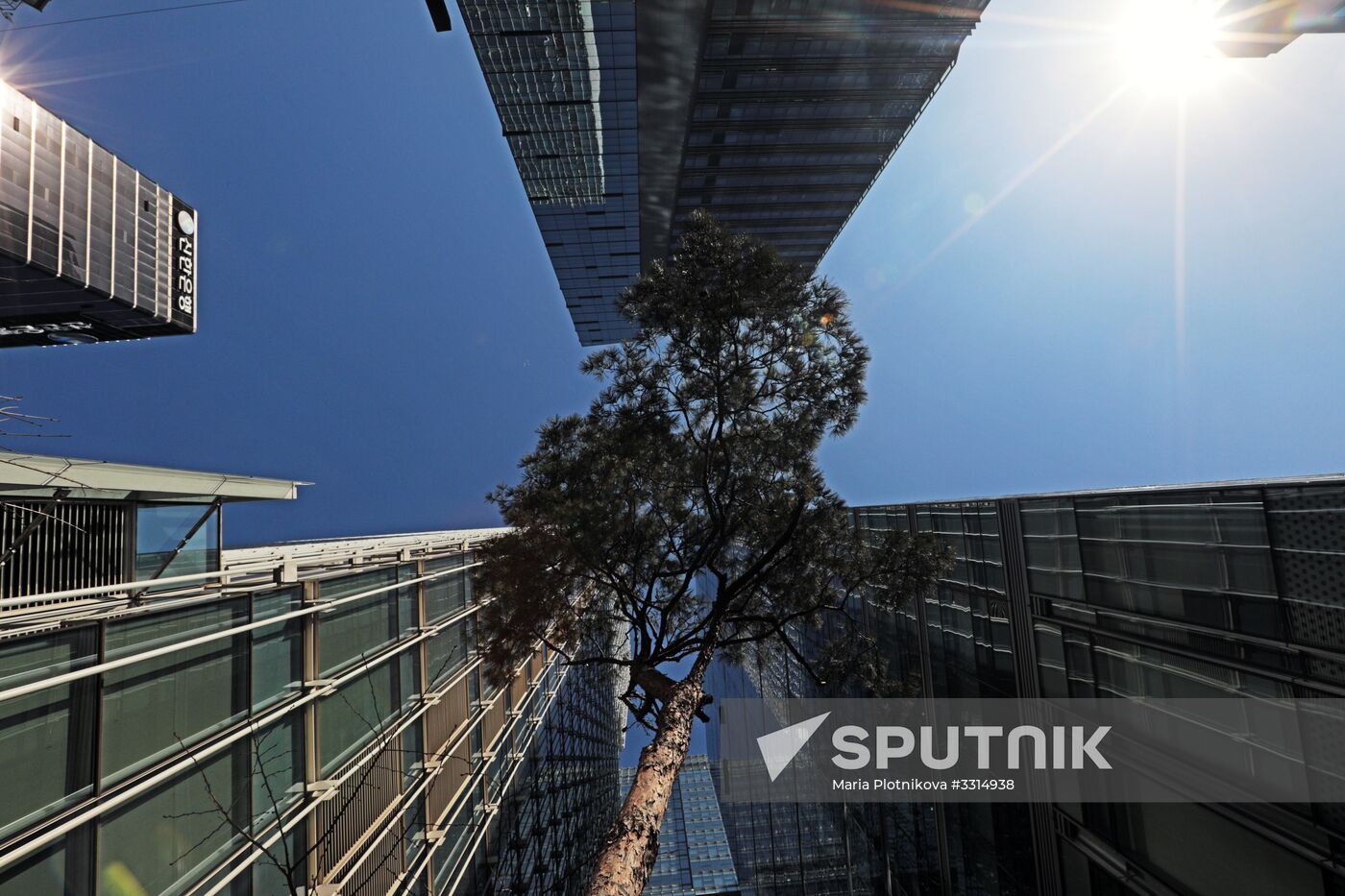 Cities of the world. Seoul