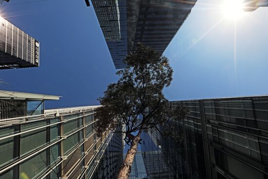 Cities of the world. Seoul