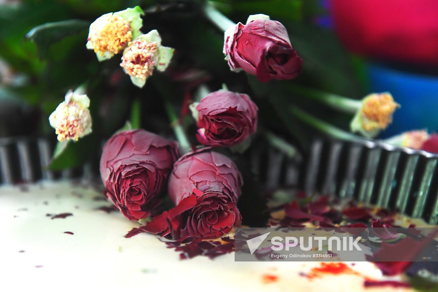 Moscow Metro hosts Freeze Flowers, Melt Hearts project