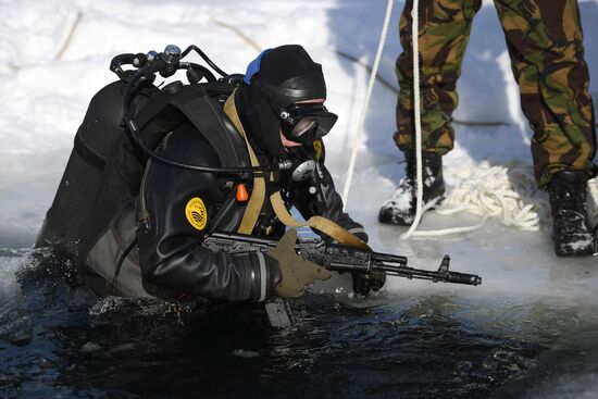 Divers of National Guard's special task force unit in combat training