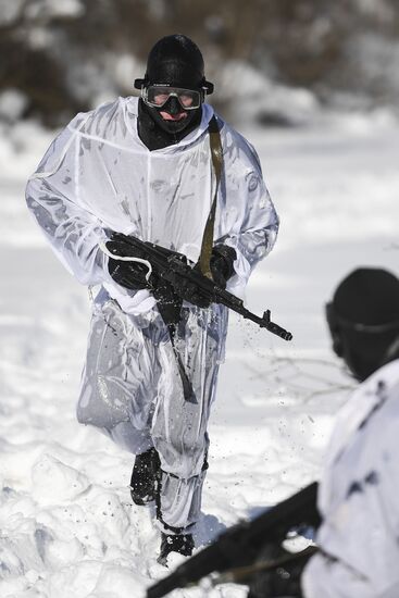 Divers of National Guard's special task force unit in combat training