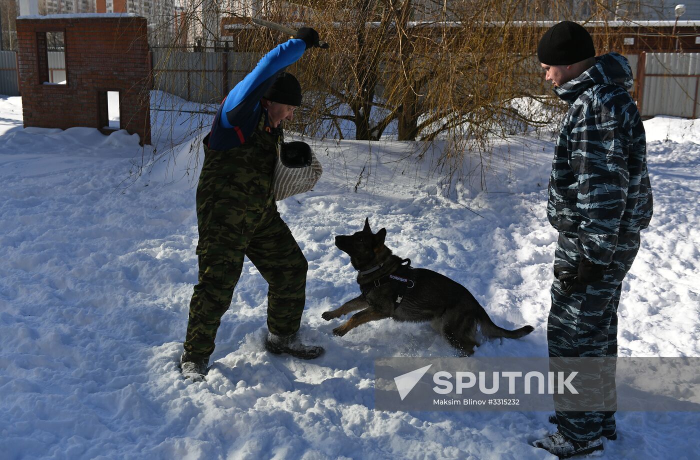 Interior Ministry's dog training center in Moscow
