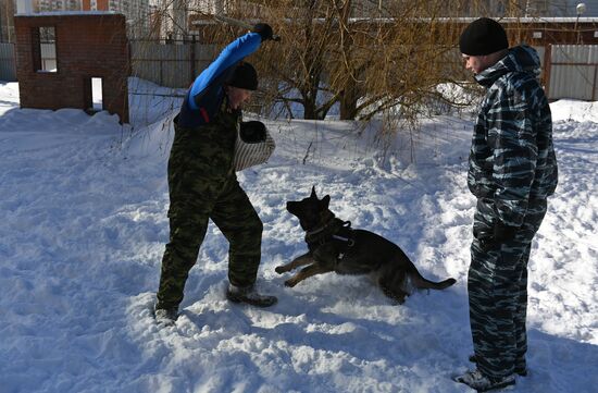 Interior Ministry's dog training center in Moscow