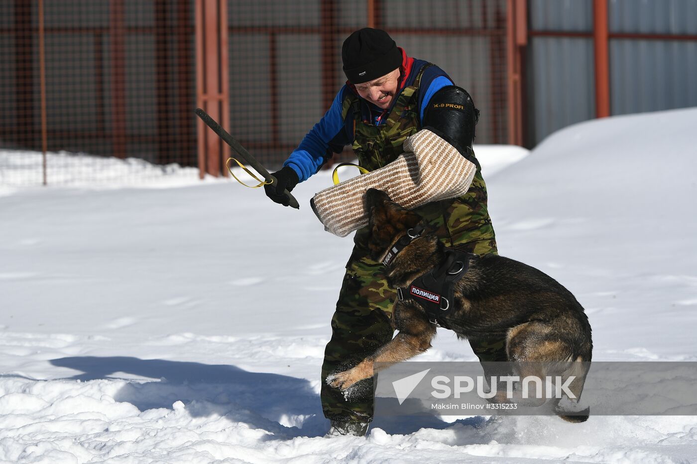 Interior Ministry's dog training center in Moscow