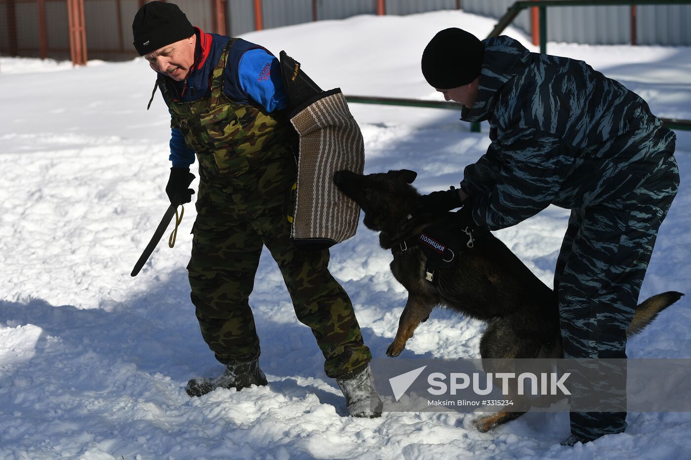 Interior Ministry's dog training center in Moscow