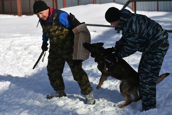 Interior Ministry's dog training center in Moscow