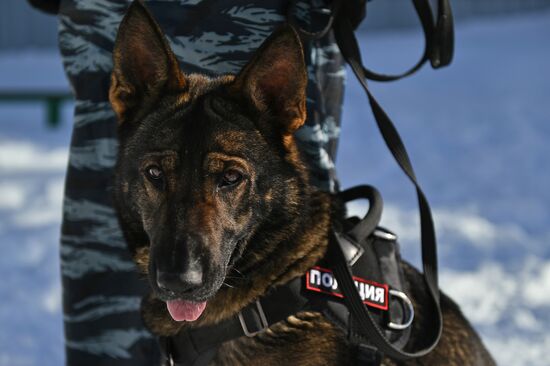 Interior Ministry's dog training center in Moscow