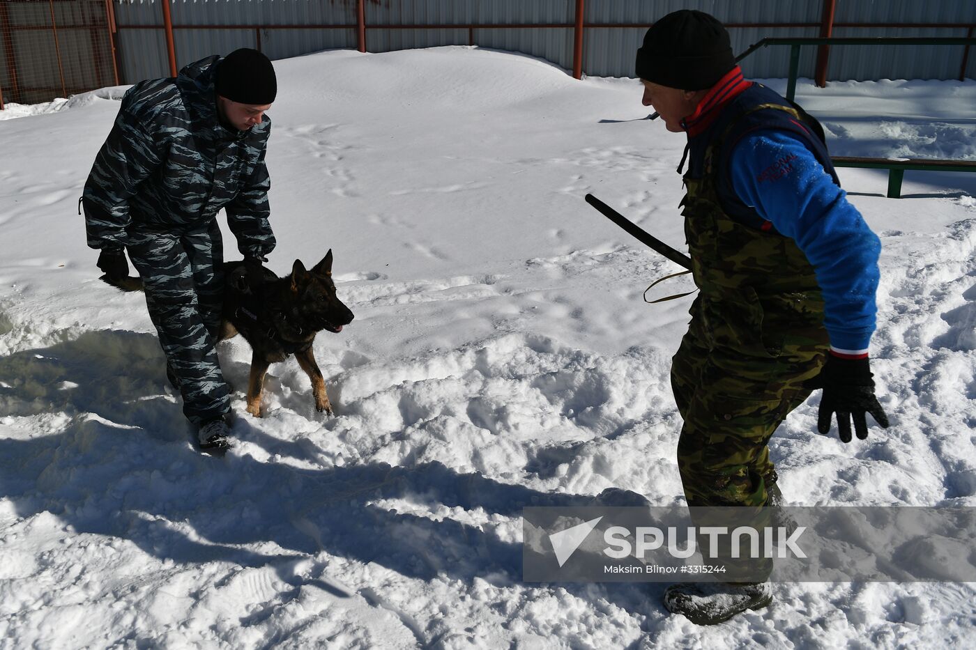 Interior Ministry's dog training center in Moscow