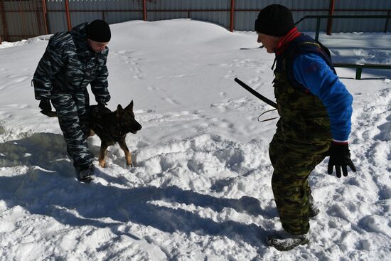 Interior Ministry's dog training center in Moscow