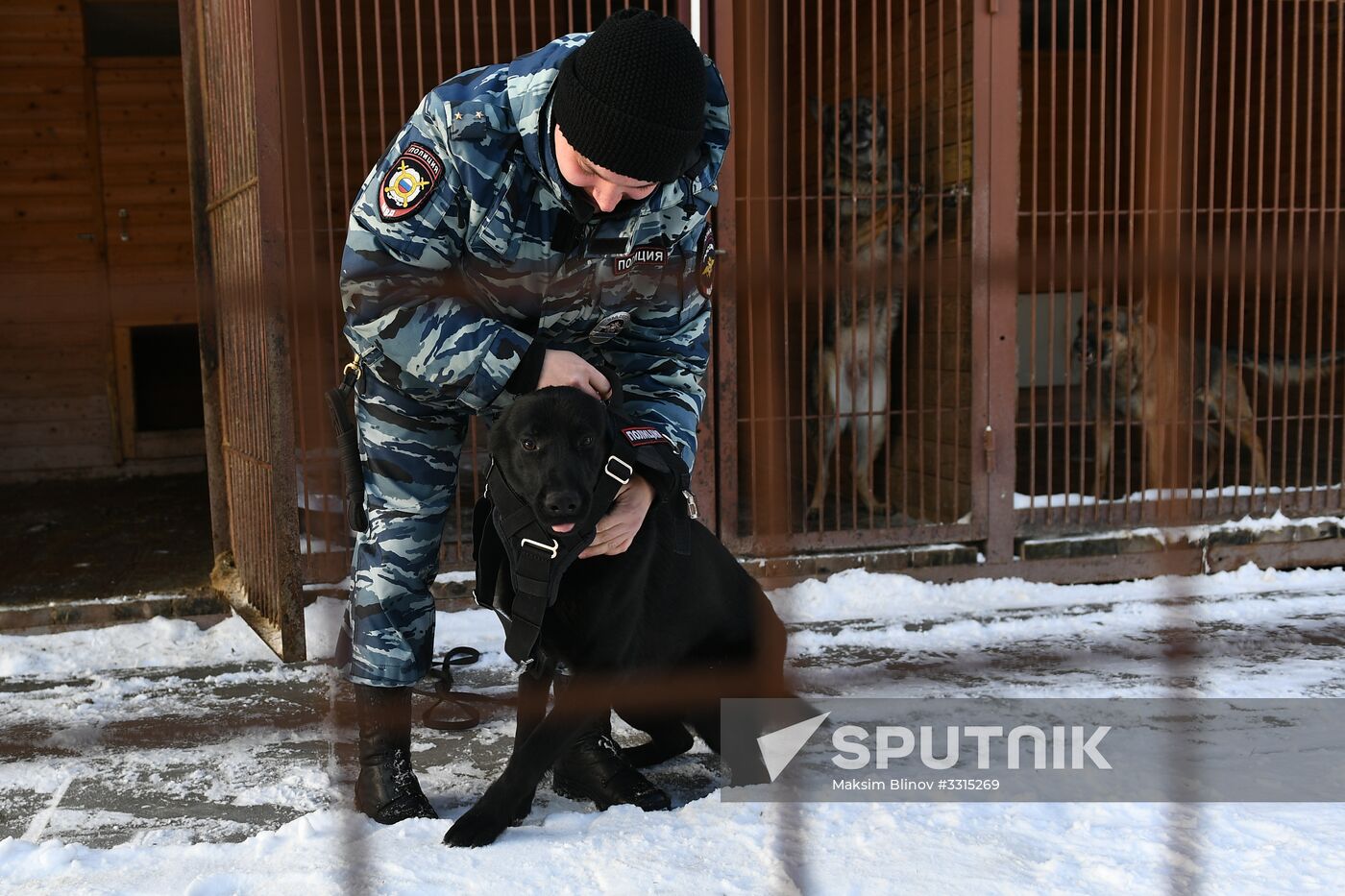 Interior Ministry's dog training center in Moscow