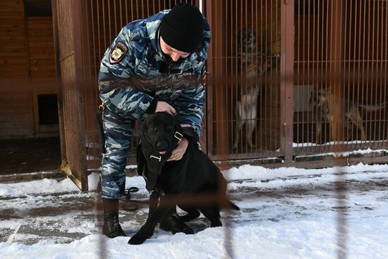 Interior Ministry's dog training center in Moscow