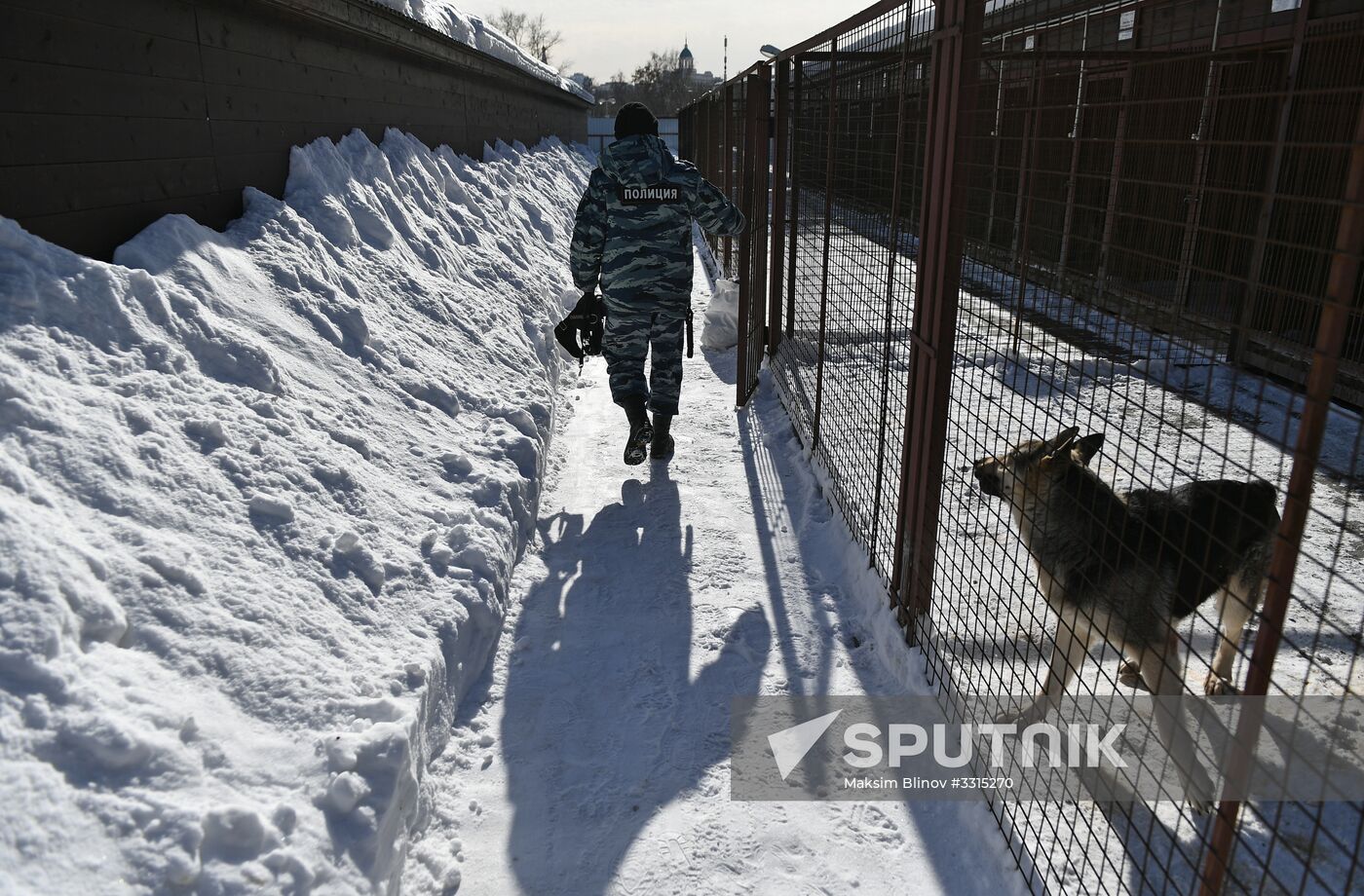 Interior Ministry's dog training center in Moscow