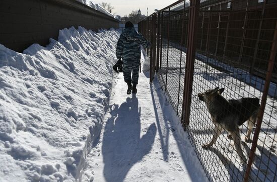 Interior Ministry's dog training center in Moscow