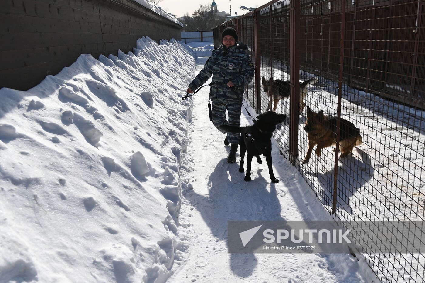 Interior Ministry's dog training center in Moscow