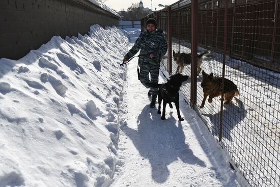 Interior Ministry's dog training center in Moscow
