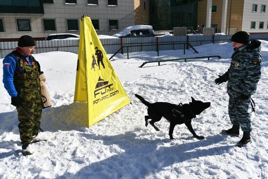 Interior Ministry's dog training center in Moscow