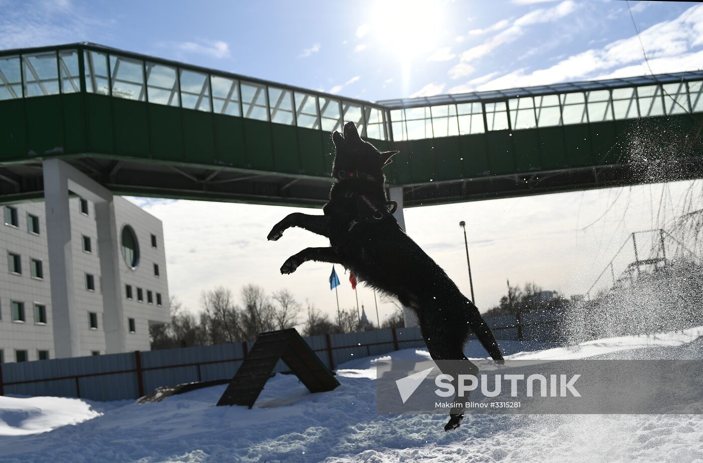 Interior Ministry's dog training center in Moscow