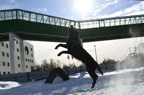 Interior Ministry's dog training center in Moscow