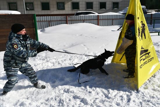 Interior Ministry's dog training center in Moscow