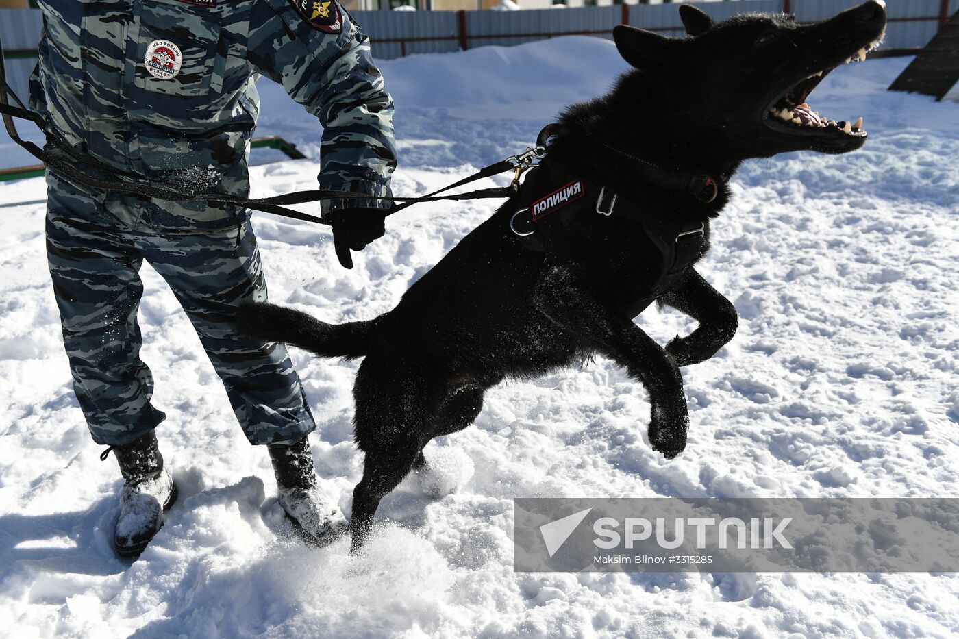 Interior Ministry's dog training center in Moscow