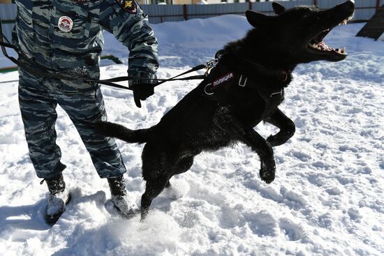 Interior Ministry's dog training center in Moscow