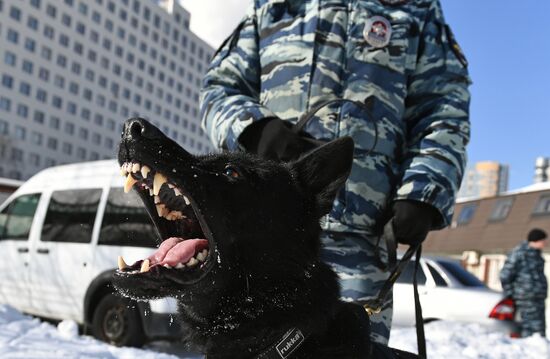 Interior Ministry's dog training center in Moscow