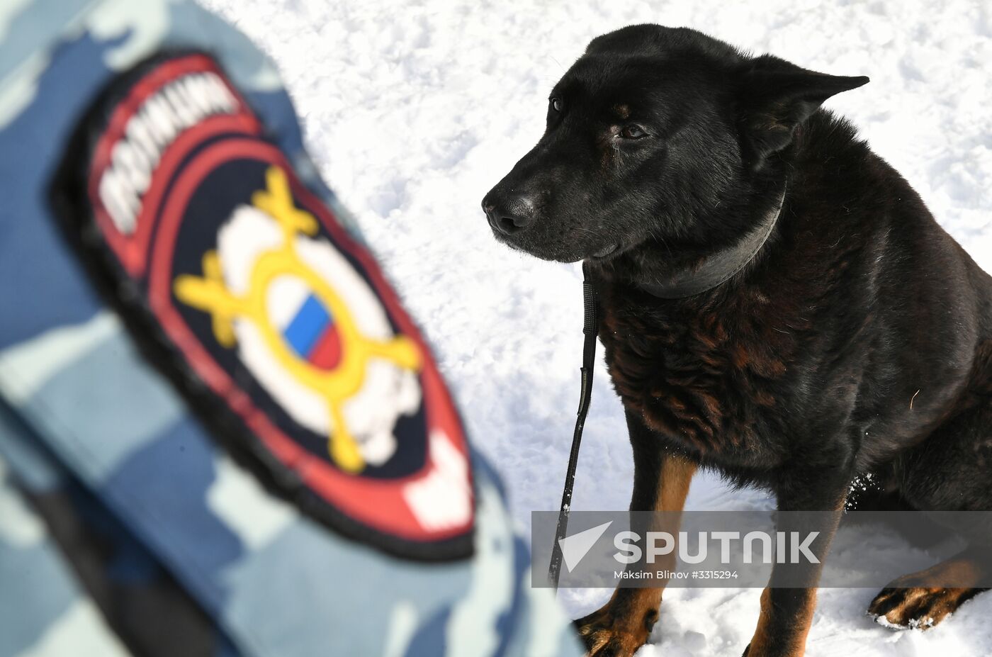 Interior Ministry's dog training center in Moscow