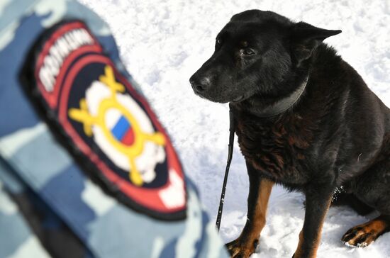 Interior Ministry's dog training center in Moscow