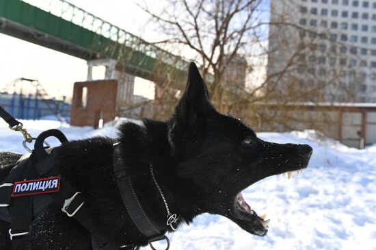 Interior Ministry's dog training center in Moscow