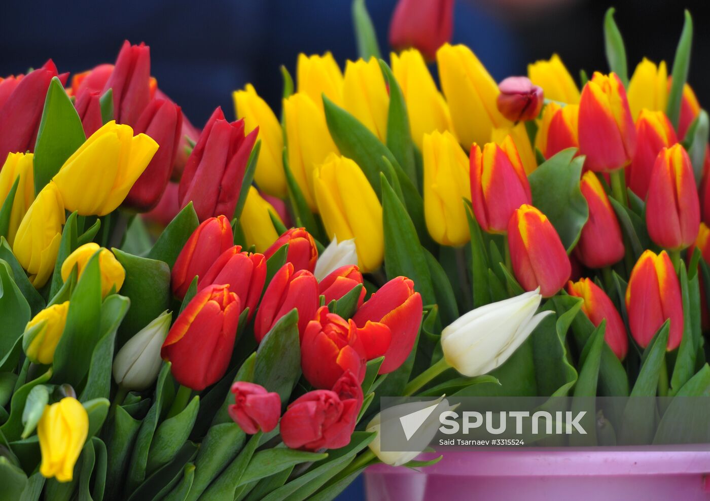 Preparation for International Women's Day in Russian cities