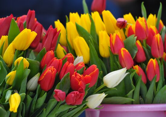 Preparation for International Women's Day in Russian cities