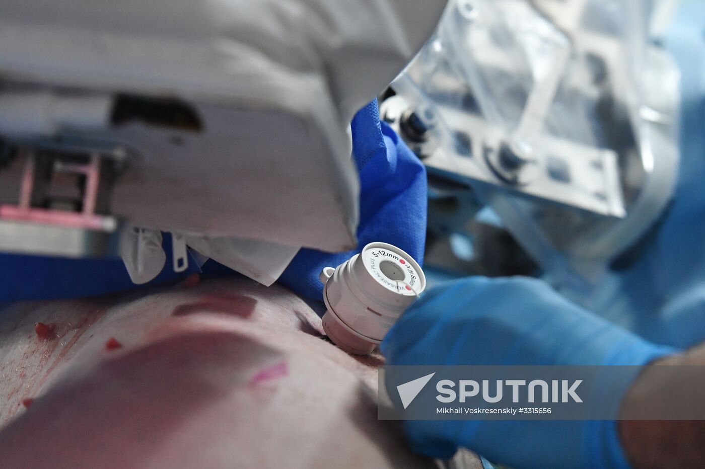 Russian surgical robot performs test surgery on swine in Penza