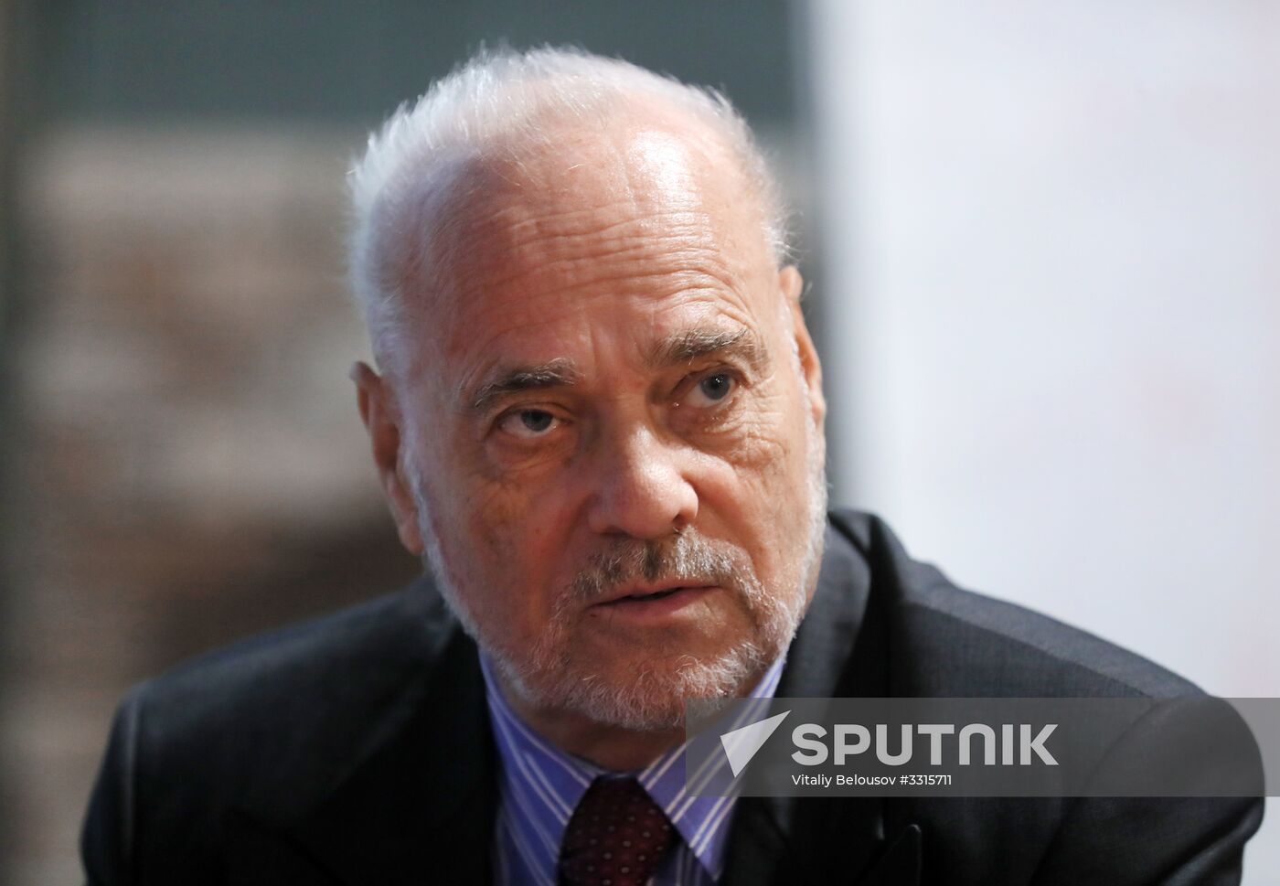 Head of Russian Election Observation Mission Jan Petersen