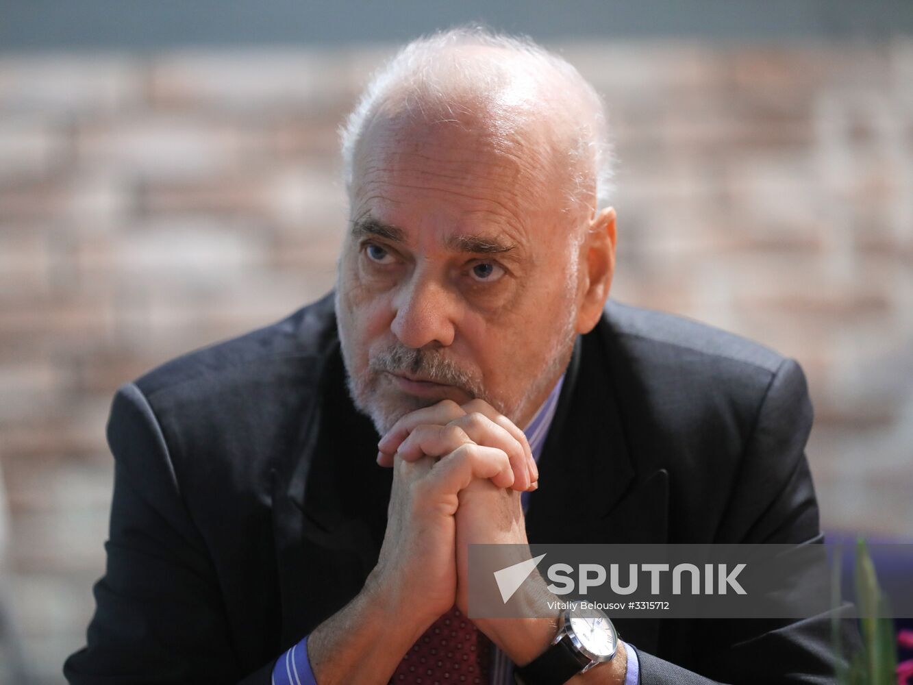 Head of Russian Election Observation Mission Jan Petersen