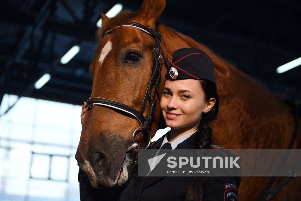 Nonfeminine job. Sergeant of Moscow mounted police Tatyana Zima