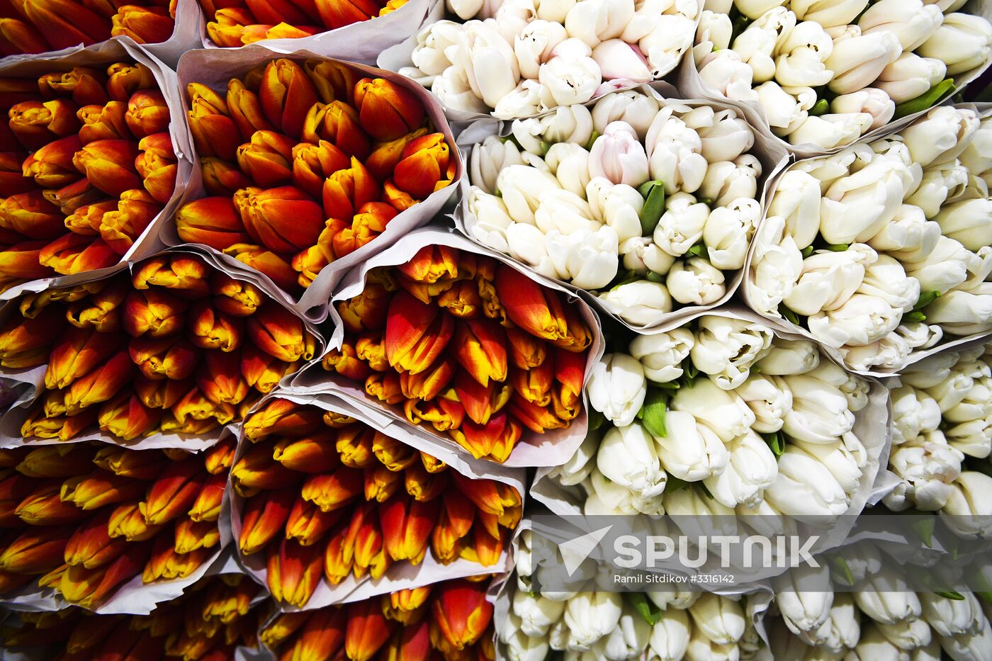 Flower sale on International Women's Day