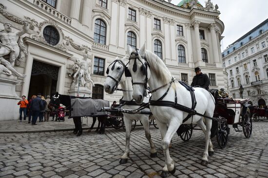 Cities of the world. Vienna