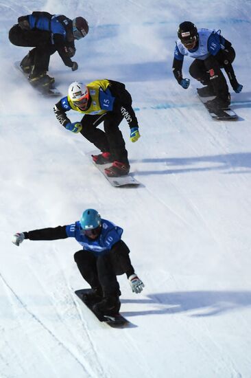 Snowboard. World Cup stage. Snowboard cross
